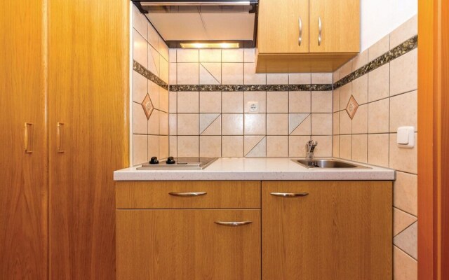 Amazing Home in Selce With Wifi and 1 Bedrooms