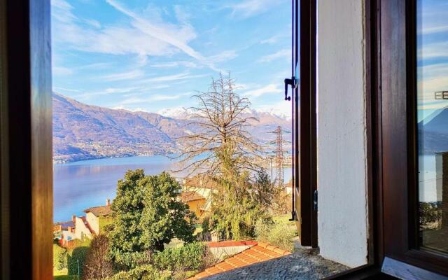 BLUE HOUSE by Design Studio