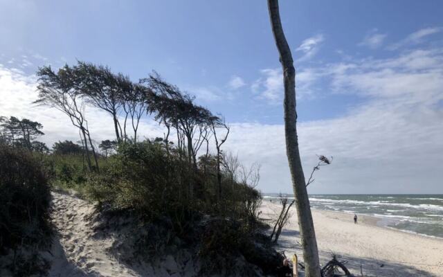 Seaside Apartment in Prerow