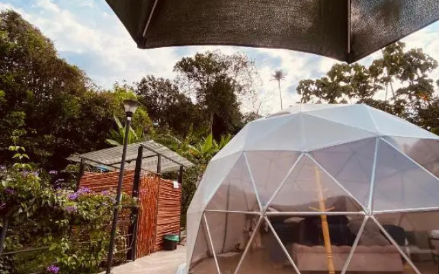 Glamping El Paraíso