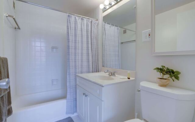 Beautiful & Spacious Apt in Crystal City