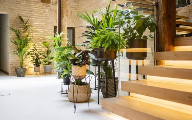 Dobo Azacanes Hostal