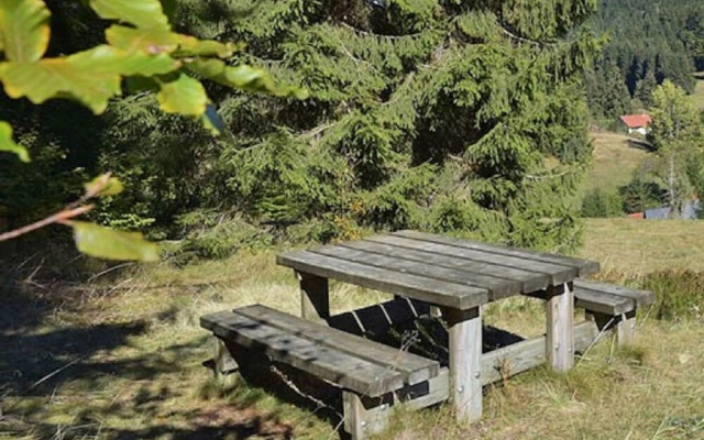 Simplistic Apartment in Suhl near Forest