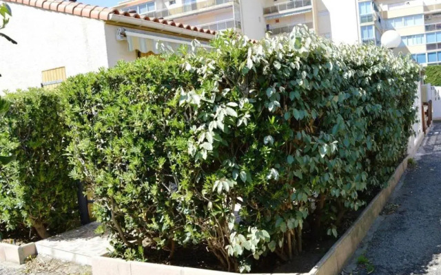 Appartement Argelès-sur-Mer, 1 pièce, 4 personnes - FR-1-225-608