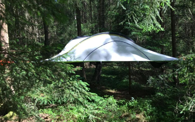Baumzelt im Wald
