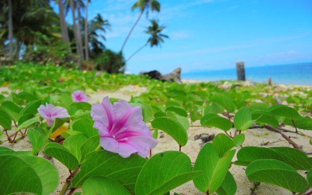 Samui Tropical Resort