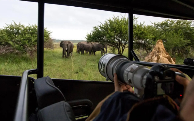 Royal Thonga Safari Lodge