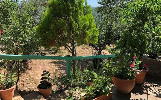 Yesil Vadi Apart Pansiyon