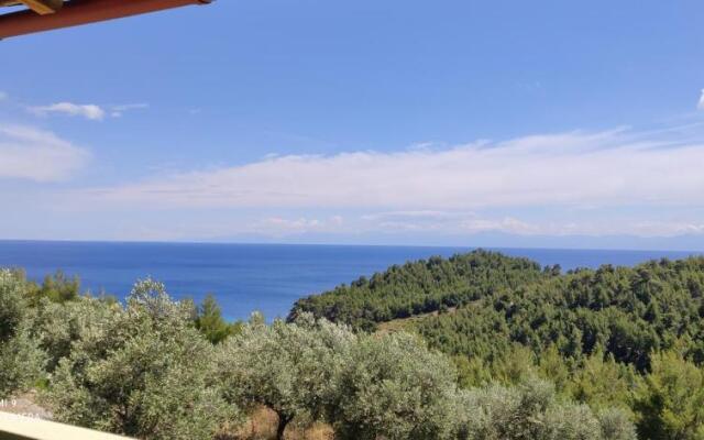 Elia house 1 astoning sea view among the olive trees