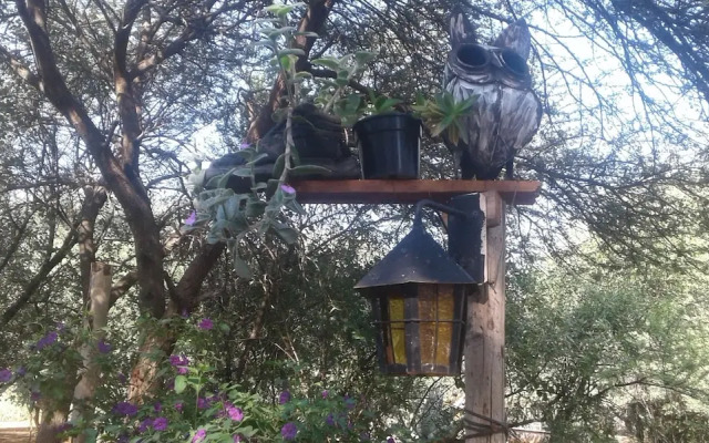 Stwalo's Place
