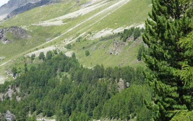 Chesa Sonnenuhr