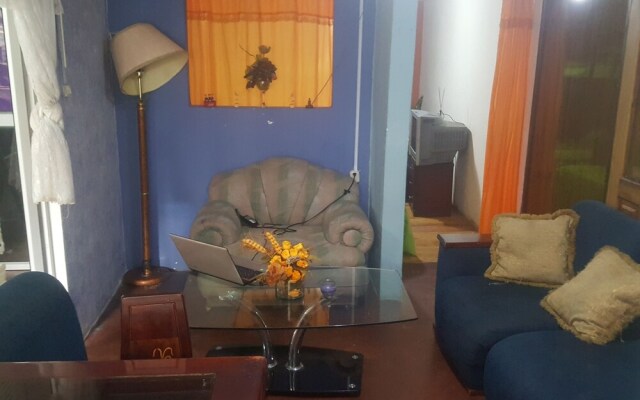 Bio Bamboo Bed and Breakfast
