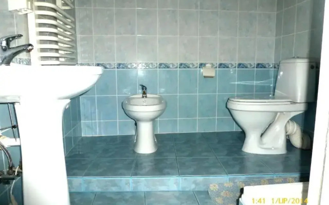 Kot Chopina