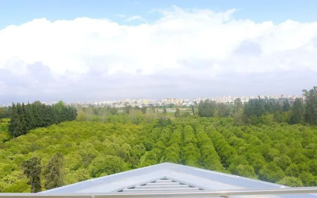 Melda Palace