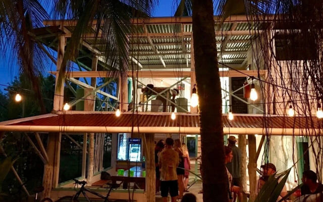 Twin Fin Hostels