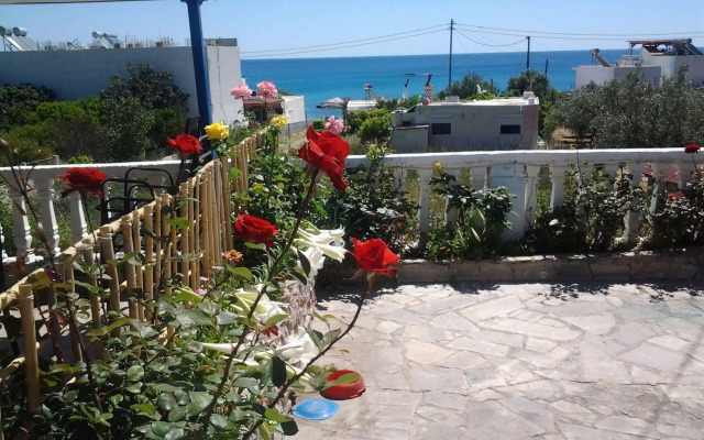 Paradis Studios