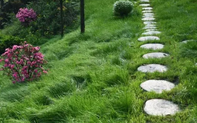 Qingsu Qingcheng private Tang forest