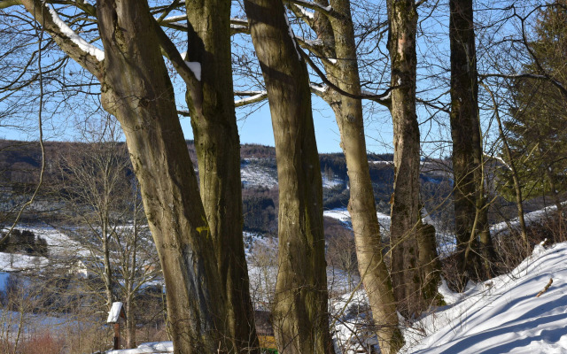 Exclusive Loft Apartment With Balcony in Olsberg-elpe