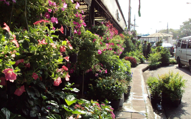 Steve Boutique Hostel