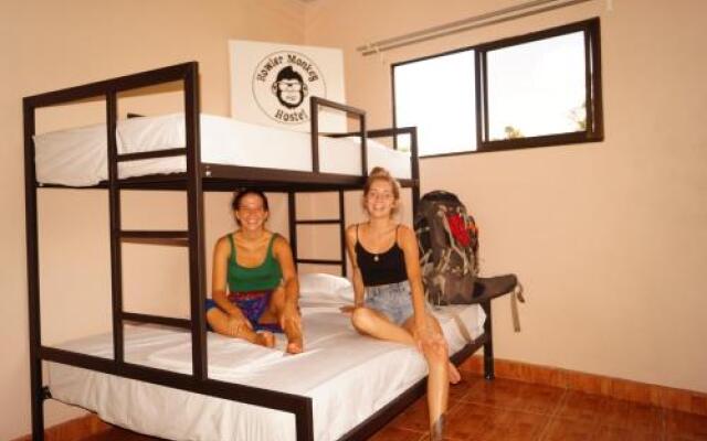 Howler Monkey Hostel DownTown