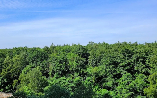 Appartment Waldidyll Landseite 713