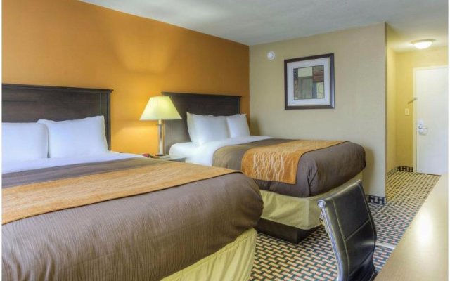 Econo Lodge  Inn  Suites