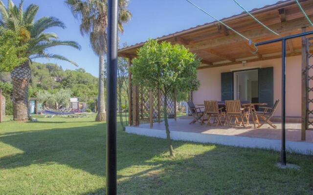 Albero Del Pepe Nr.2