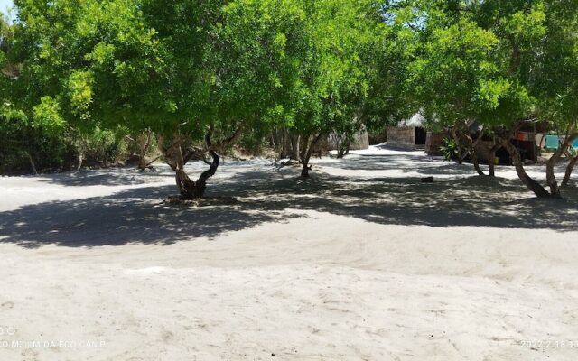 Room-mida Creek Eco Camp - Lodge