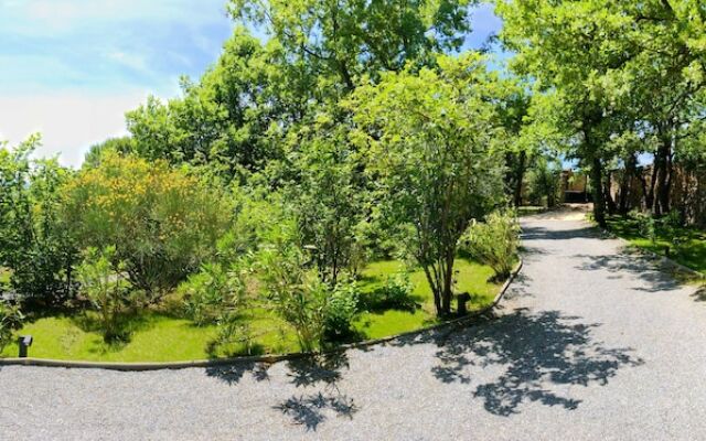 Wild Boar Mountain - France