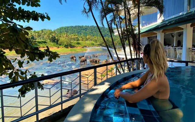 Hotel Elephant Park