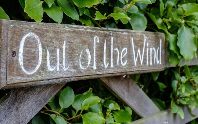 Out of the Wind