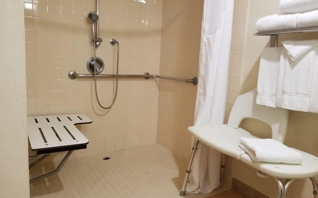 Holiday Inn Hotel & Suites Anaheim by IHG