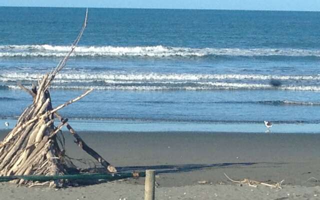 Beachfront Views