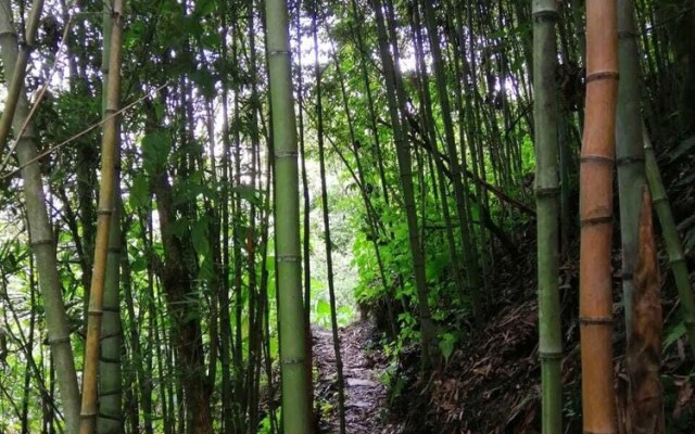 Hotel Villas De Rio Glamping & Camping