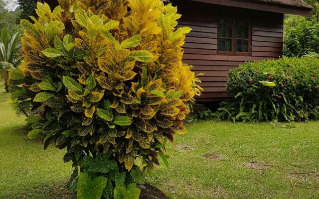 Phanom Bencha Mountain Resort
