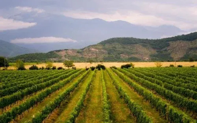 Shaloshvili's Cellar Hotel