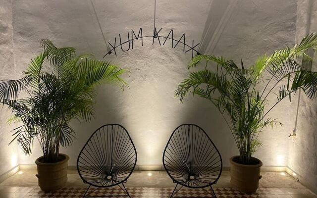 Hotelito Yum Kaax