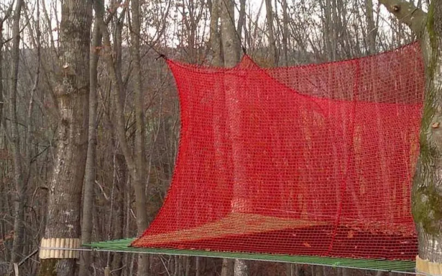 Les Nids du Parcabout