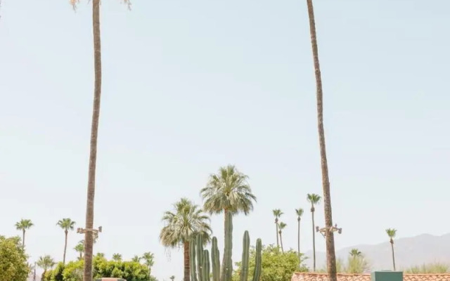 Les Cactus