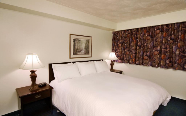 The Business Inn