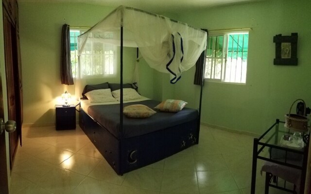 Blue Lady Rooms B&B