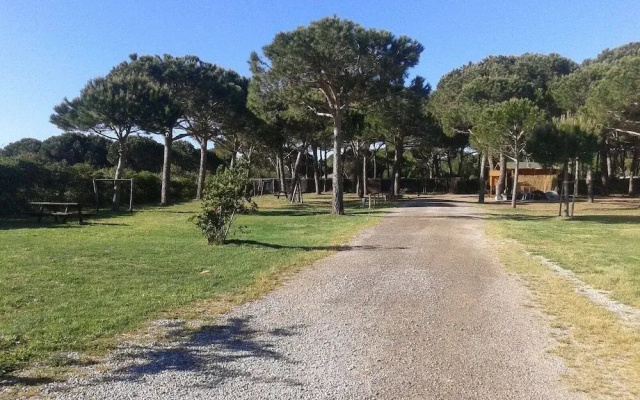 Area Di Sosta La Pineta Caravan Park