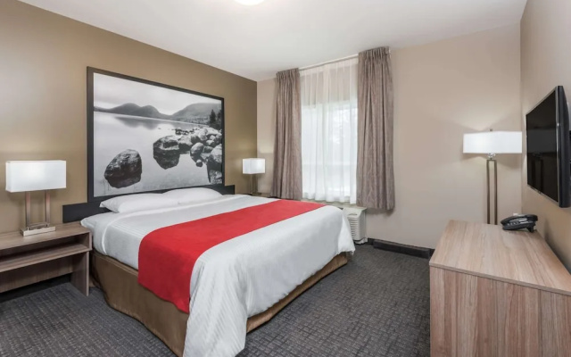 Super 8 By Wyndham Mont Laurier