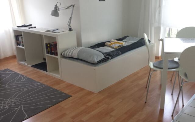 FeWo II, V und VI  - Altstadt - Am grossen Garten