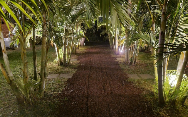 Le Palmier de la Paix