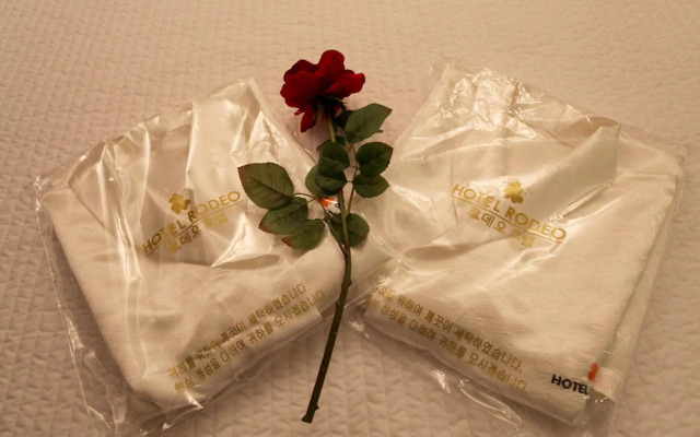 Sungshin Women's University Brown dot