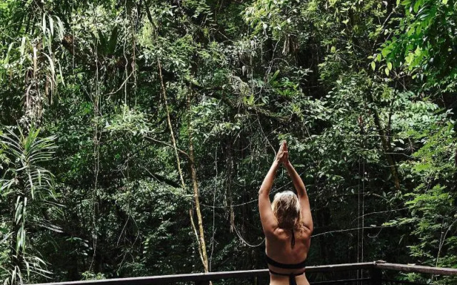 Daintree Ecolodge
