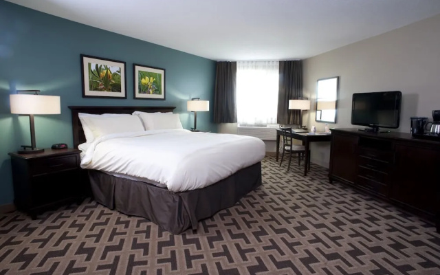 Bear Claw Casino & Hotel