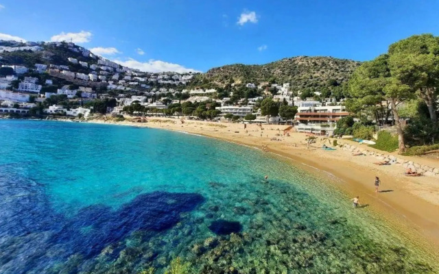 Dallas 2B Canyelles Roses - Barneda Premium