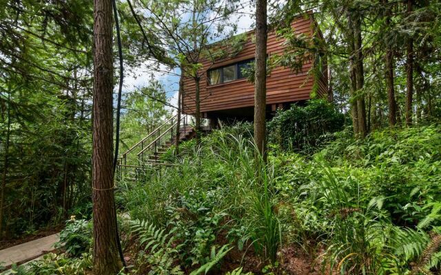 ZYJ Treehouse Land Huangshan Qiyun